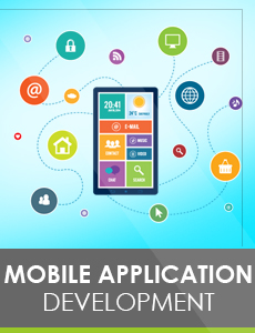Software & Digital Marketing company in Uttam Nagar-Sna Oceonic Teqto Pvt Ltd